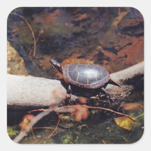 Happy Turtle Quadratischer Aufkleber