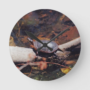 Happy Turtle Runde Wanduhr