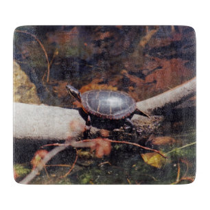 Happy Turtle Schneidebrett