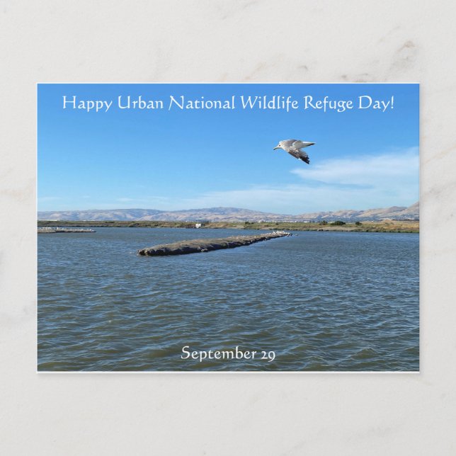 Happy Urban National Wildlife Refugium Day! Postkarte (Vorderseite)