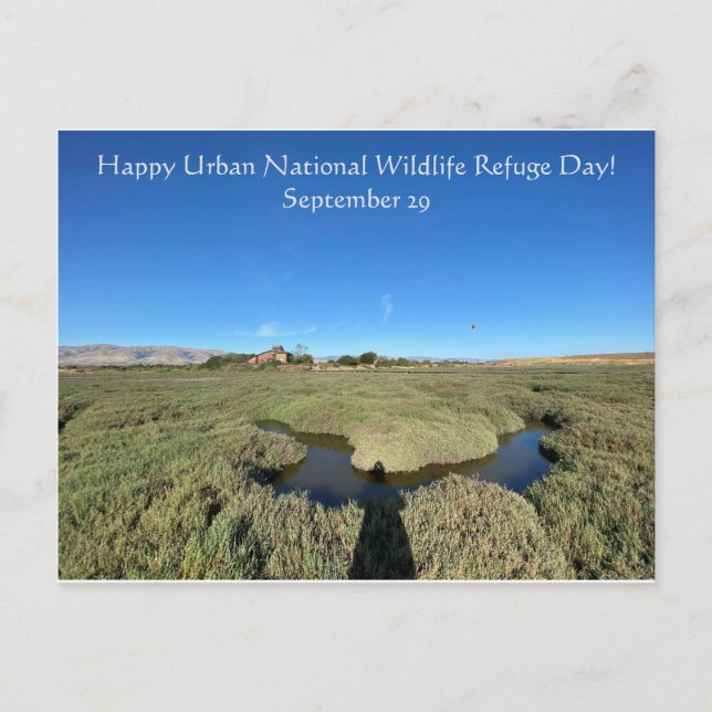Happy Urban National Wildlife Refugium Day! Postkarte (Vorderseite)