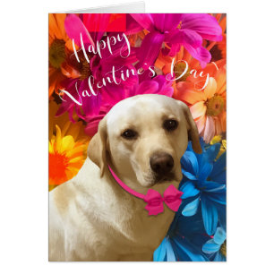 Happy Valentine Pet, Hund, Niedliche Labrador Blum