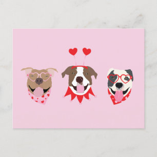 Happy Valentines Day American Pit Bull Terriers Postkarte