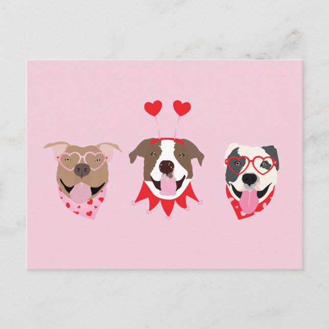 Happy Valentines Day American Pit Bull Terriers Postkarte (Vorderseite)