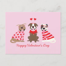 Happy Valentines Day American Pit Bull Terriers