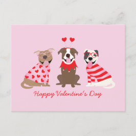 Happy Valentines Day American Pit Bull Terriers Postkarte