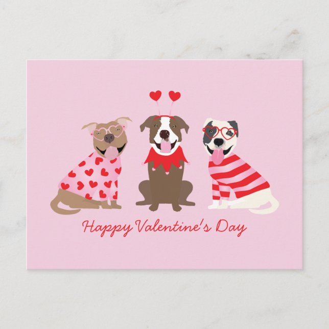 Happy Valentines Day American Pit Bull Terriers Postkarte (Vorderseite)