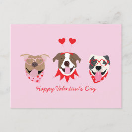 Happy Valentines Day American Pit Bull Terriers Postkarte