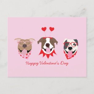 Happy Valentines Day American Pit Bull Terriers Postkarte