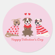 Happy Valentines Day American Pit Bull Terriers