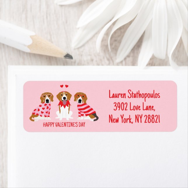 Happy Valentines Day Beagle Hunde (Insitu)