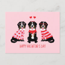 Happy Valentines Day Berner Hunde
