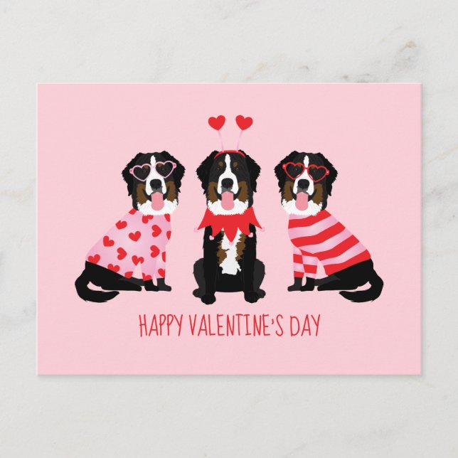 Happy Valentines Day Berner Hunde Postkarte (Vorderseite)
