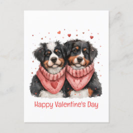 Happy Valentines Day Berner Hunde Postkarte