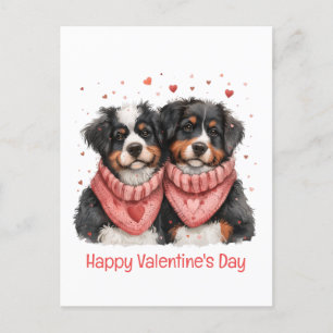 Happy Valentines Day Berner Hunde Postkarte