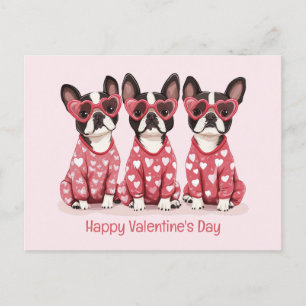 Happy Valentines Day Boston Terrier Dogs Feiertagspostkarte