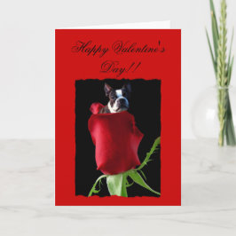 Happy Valentine's Day Boston Terrier Grußkarte Feiertagskarte
