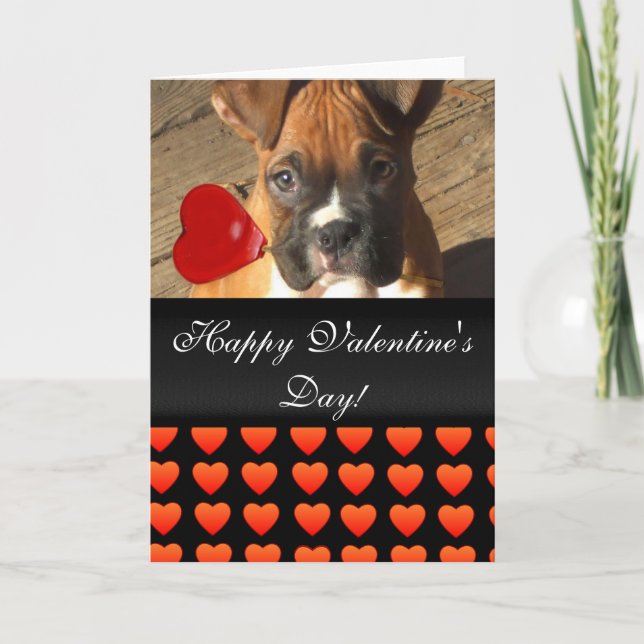 Happy Valentine's Day Boxer Hundeherzen Karte (Vorderseite)