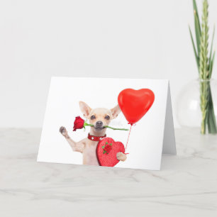 Happy Valentines Day Card Niedlich Chihuahua mit R Karte