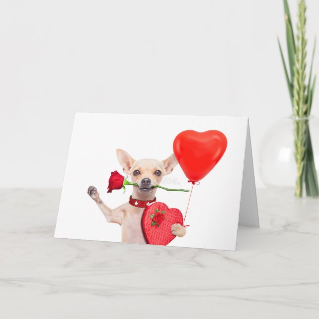 Happy Valentines Day Card Niedlich Chihuahua mit R Karte (Vorderseite)
