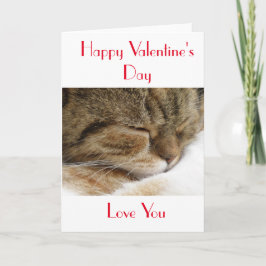 Happy Valentine's Day Cat Card Feiertagskarte