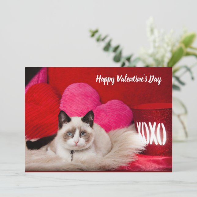 Happy Valentine's Day Cat flache Karte (Stehend Vorderseite)