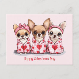 Happy Valentines Day Chihuahua Hunde Postkarte