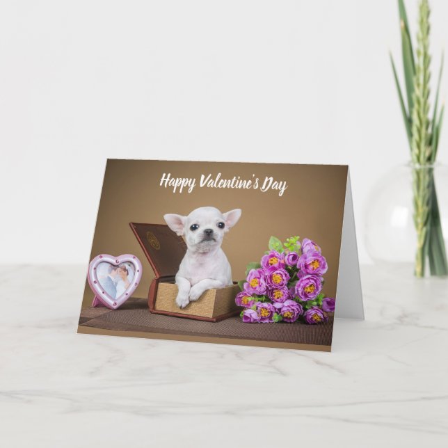 Happy Valentine's Day Chihuahua Puppy Feiertagskarte (Vorderseite)