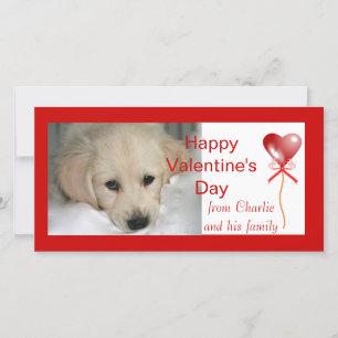 Happy Valentine's Day Dog Photo Cards Feiertagskarte