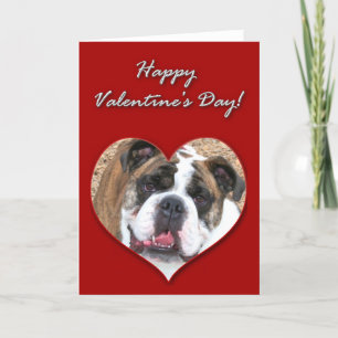 Happy Valentine's day English bulldog card Feiertagskarte
