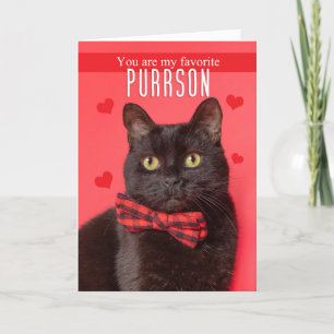 Happy Valentine's Day Favorite PURRson Niedlich Ca Feiertagskarte
