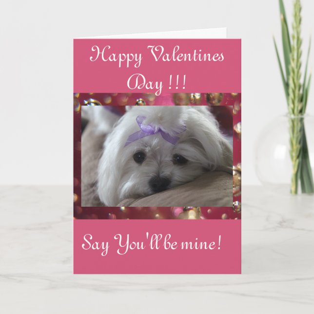 Happy Valentines Day Feiertagskarte (Vorderseite)