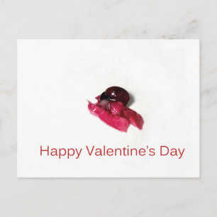 Happy Valentine's Day Feiertagspostkarte