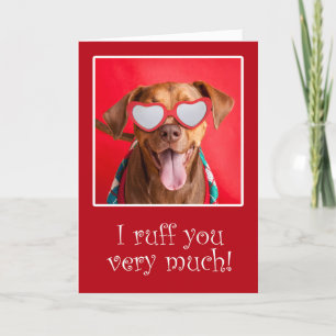Happy Valentine's Day For Anyone Pit Bull Dog Feiertagskarte