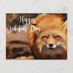 Happy Valentine's day Fox Postkarte