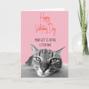 Happy Valentine's Day From Cat to Human Funny Karte