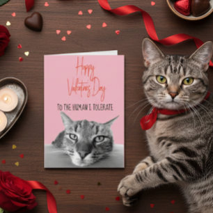 Happy Valentine's Day From Cat to Human Funny Karte