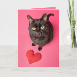 Happy Valentines Day Funny Cat with Toy Heart Feiertagskarte