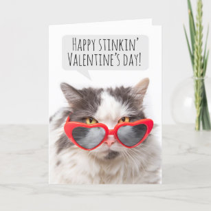 Happy Valentine's Day Funny Sarcastic Cat Feiertagskarte