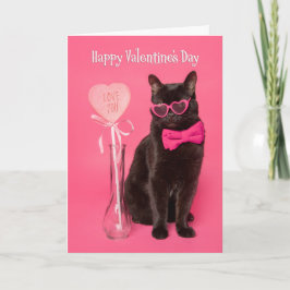 Happy Valentines Day für alle Niedlichen Katzen im Feiertagskarte