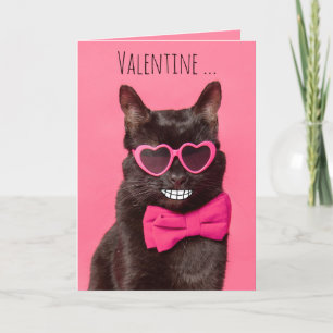 Happy Valentines Day für jede lustige Katze Feiertagskarte