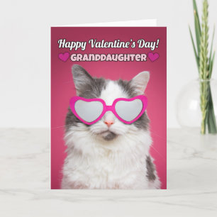 Happy Valentine's Day Grandtochter Niedlich Cat Feiertagskarte