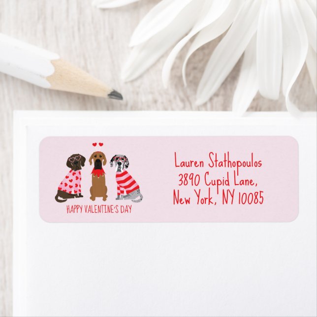 Happy Valentines Day Great Dane Hunde (Insitu)