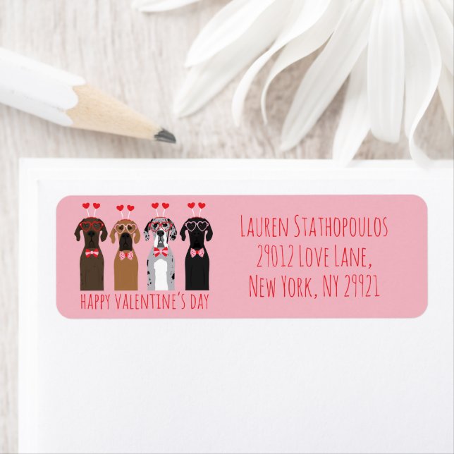 Happy Valentines Day Great Dane Hunde (Insitu)