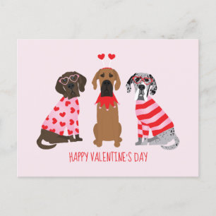 Happy Valentines Day Great Dane Hunde Postkarte