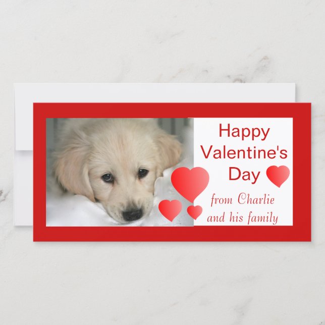 Happy Valentine's Day Hund Foto Cards Feiertagskarte (Vorderseite)