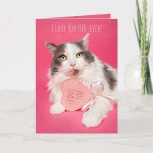 Happy Valentines Day I Liebe You FurEver Cat Feiertagskarte