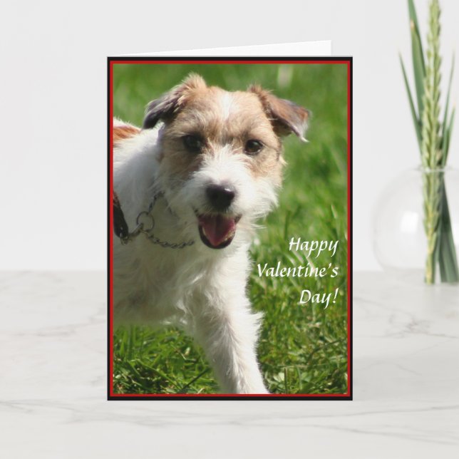 Happy Valentine's Day Jack Russell Terrier Karte (Vorderseite)