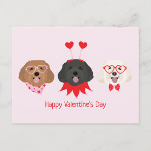 Happy Valentines Day Maltipoo Hunde Postkarte