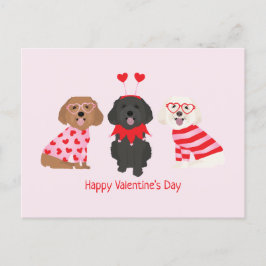 Happy Valentines Day Maltipoo Hunde Postkarte